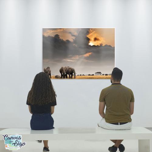  - Elephant Landscape