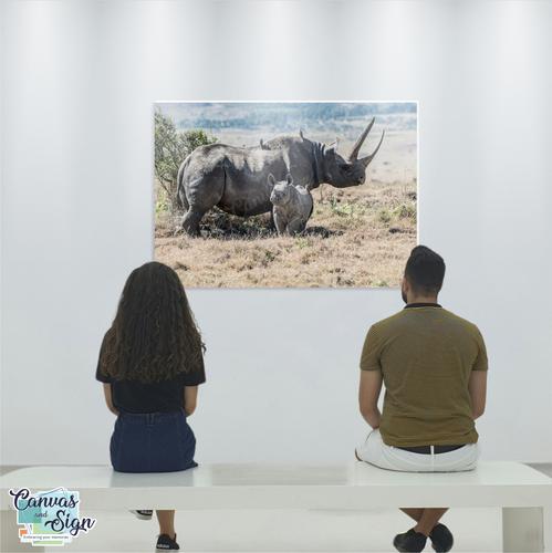  - Rhino and Calf