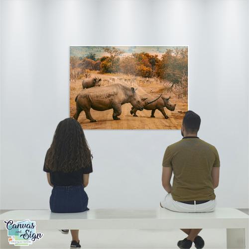  - Rhino and Calf 3