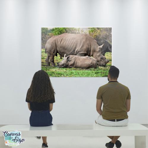  - Rhino and Calf 4