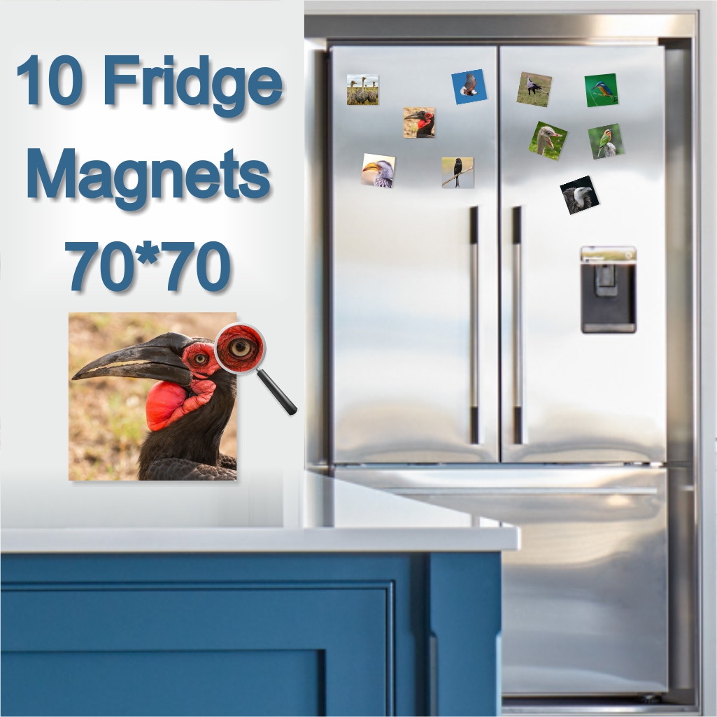  - Fridge Magnets 70 x 70 x 10