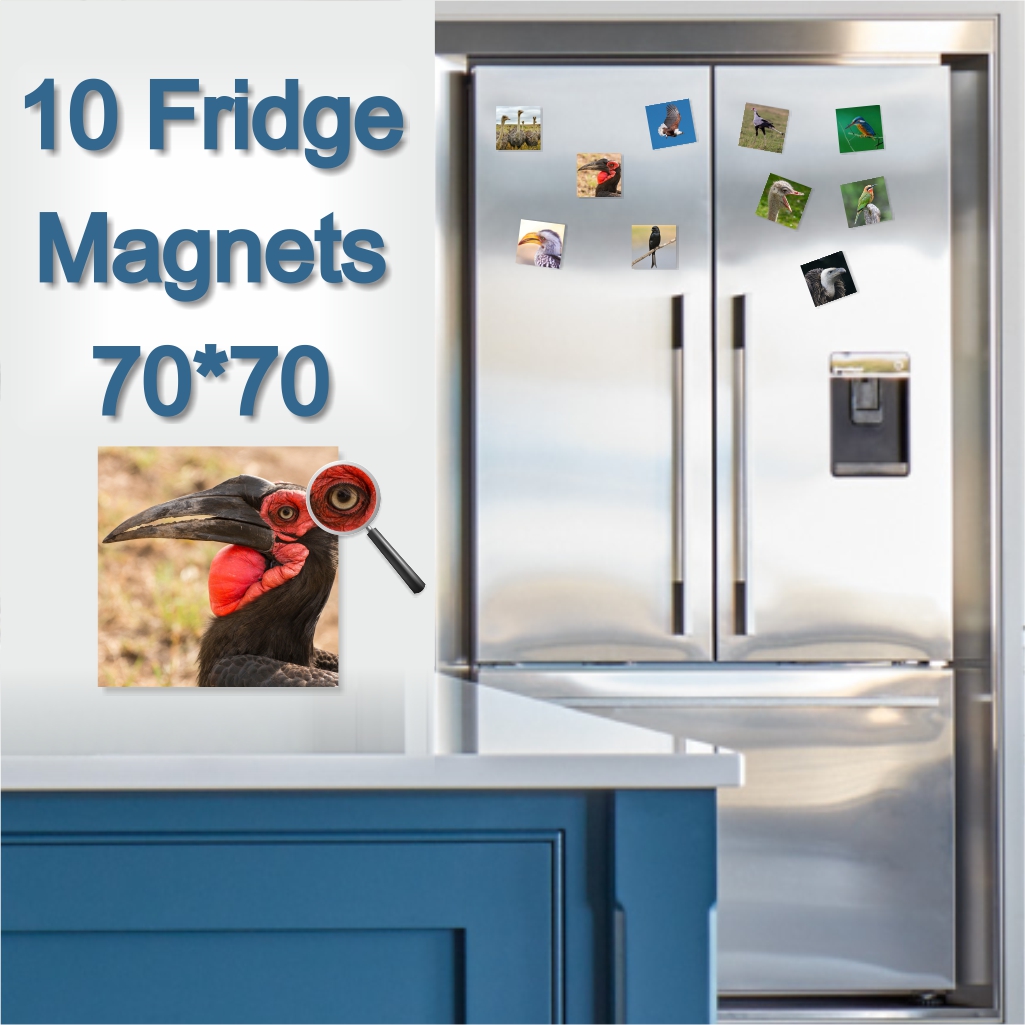  - Fridge Magnets 70 x 70mm x 10