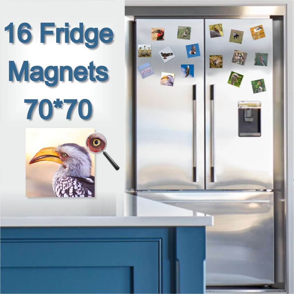  - Fridge Magnets 70 x 70mm x 16