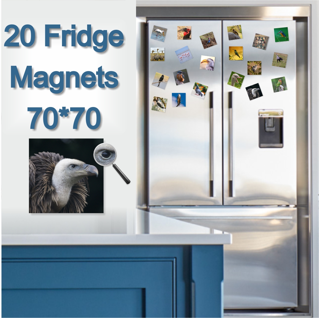  - Fridge Magnets 70 x 70mm x 20