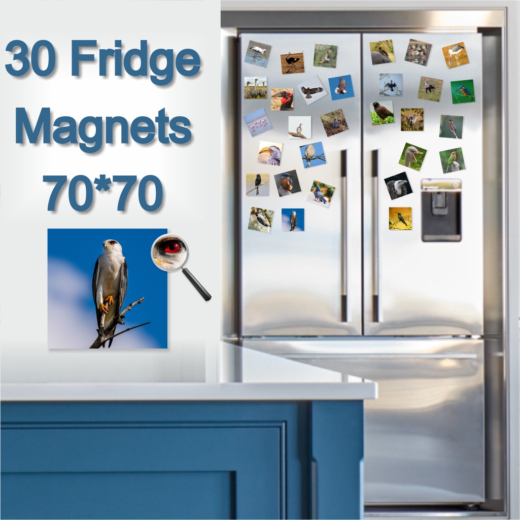  - Fridge Magnets 70 x 70mm x 30