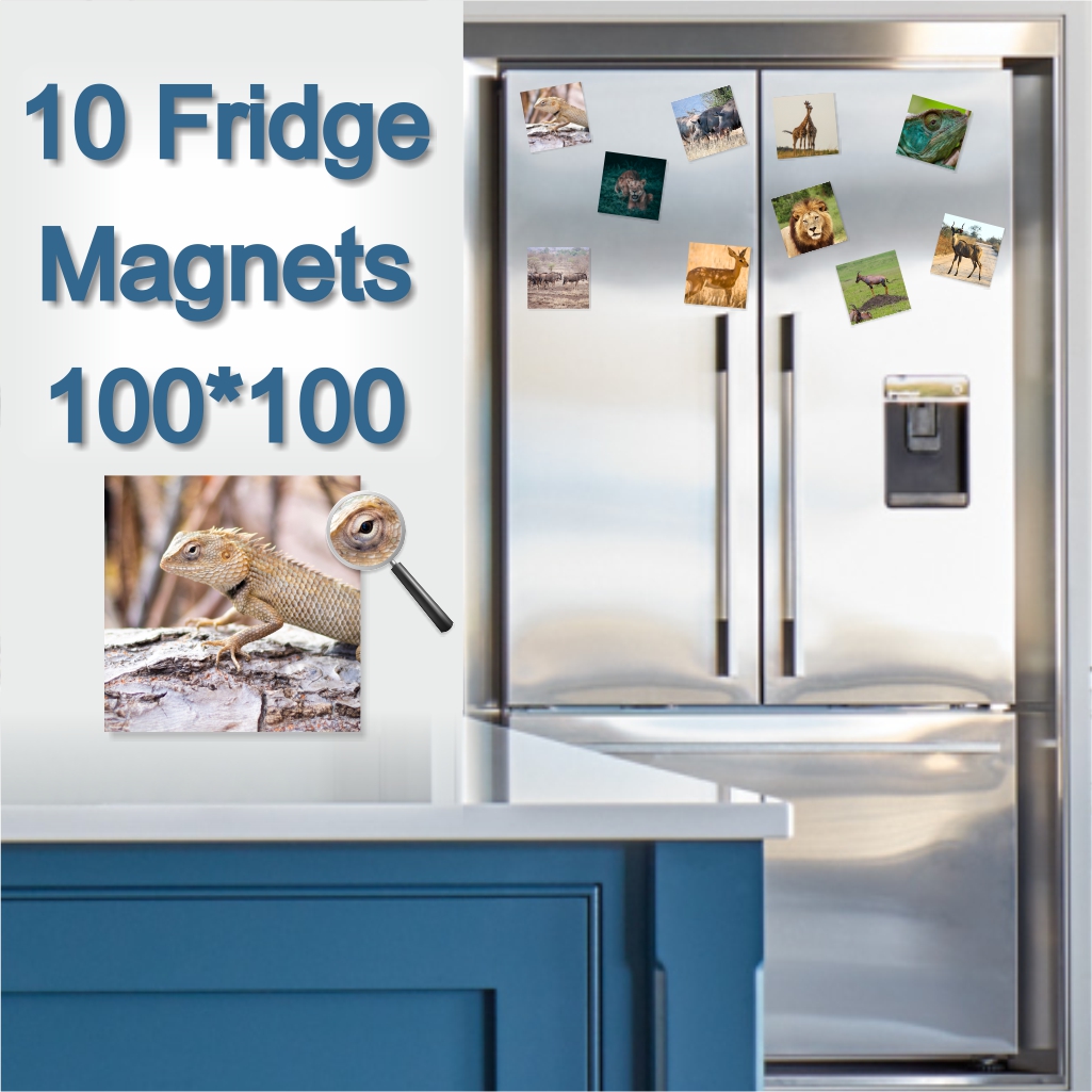  - Fridge Magnets 100 x 100 x 10