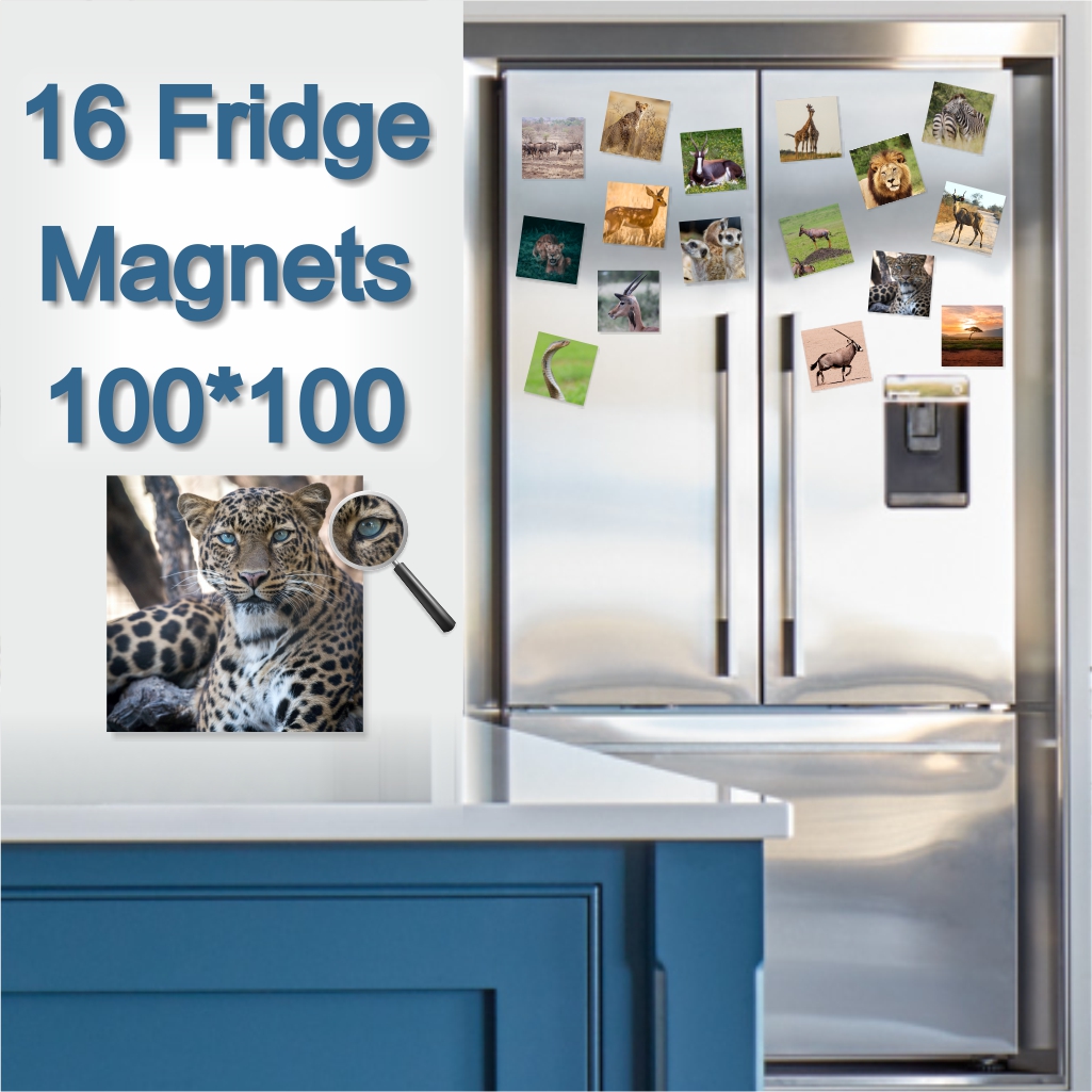  - Fridge Magnets 100 x 100mm x 16