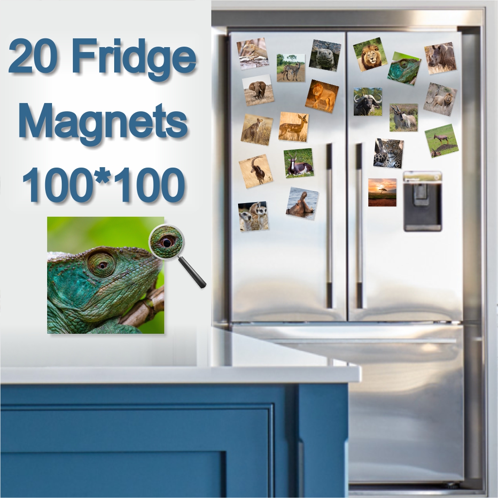  - Fridge Magnets 100 x 100 x 20