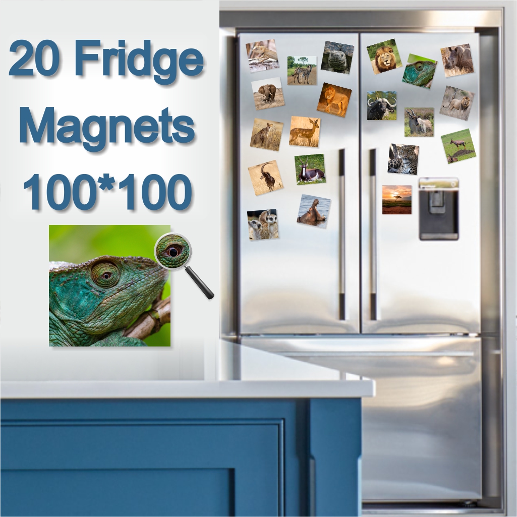  - Fridge Magnets 100 x 100mm x 20