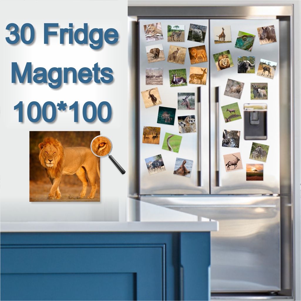  - Fridge Magnets 100 x 100 x 30