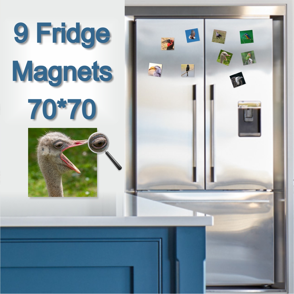  - Fridge Magnets 70 x 70 x 9