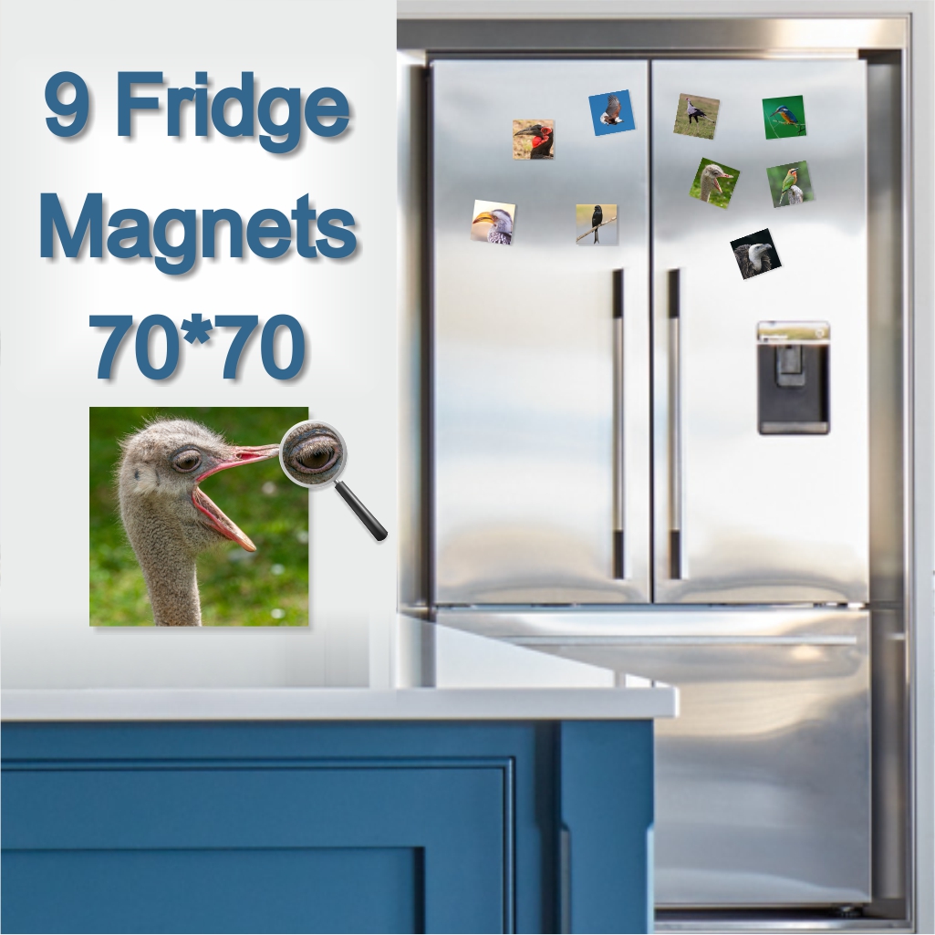  - Fridge Magnets 70 x 70mm x 9