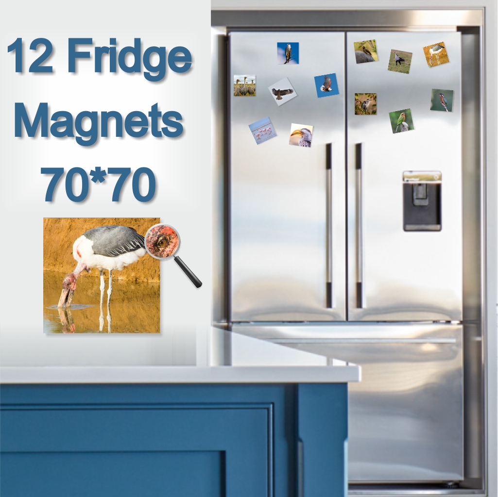  - Fridge Magnets 70 x 70mm x 12