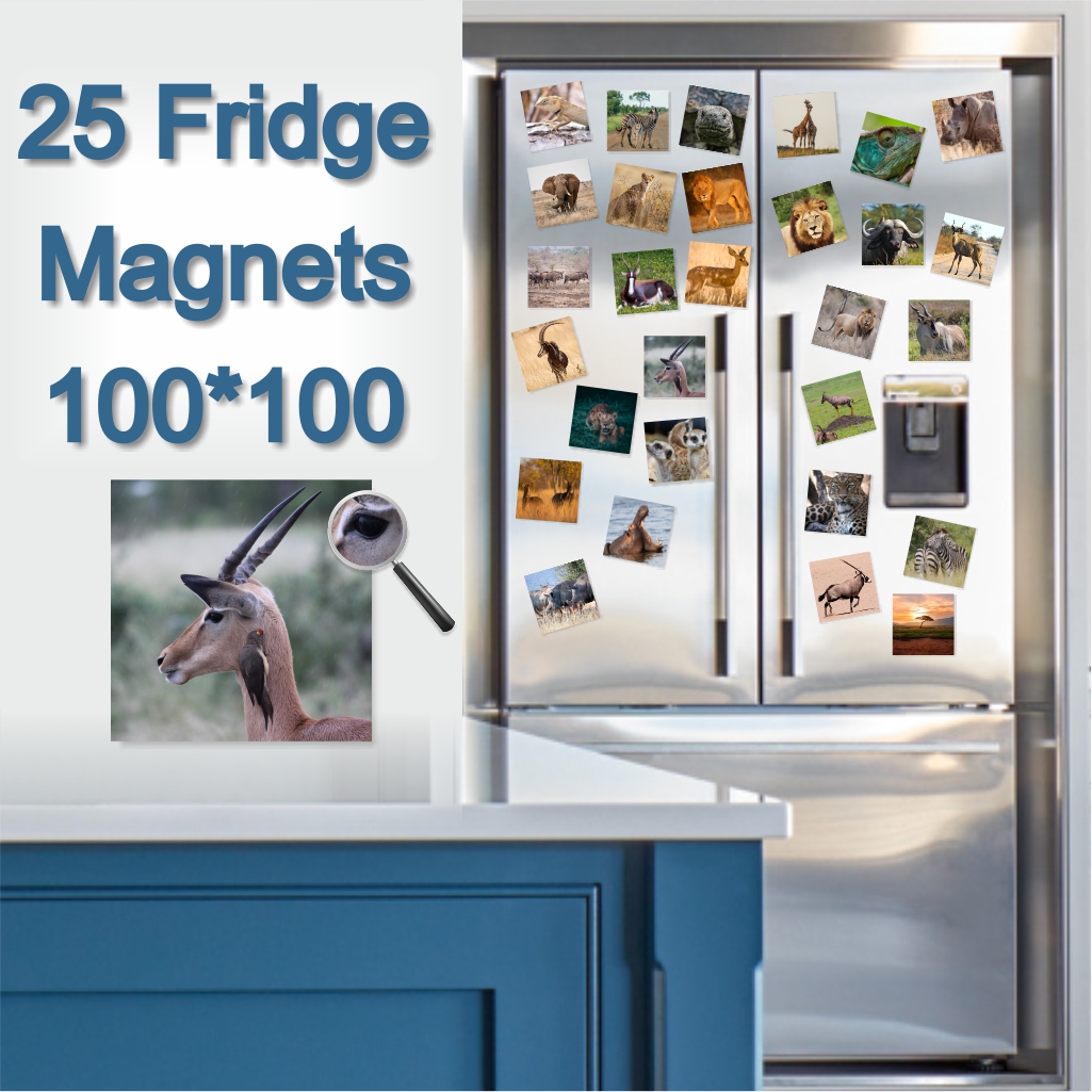  - Fridge Magnets 100 x 100 x 25