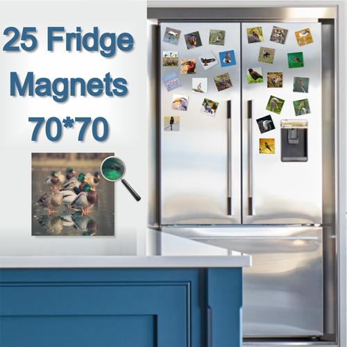  - Fridge Magnets 70 x 70mm x 25