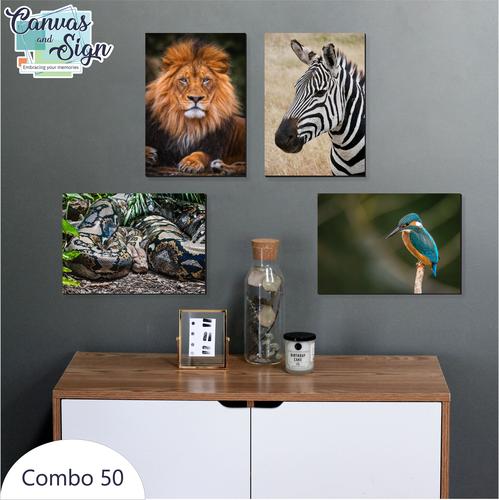  - Combo 50 (4x A5 canvases)